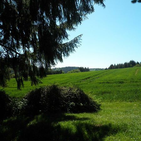 Blick In Die Suedeifel Biersdorf am See Exterior foto