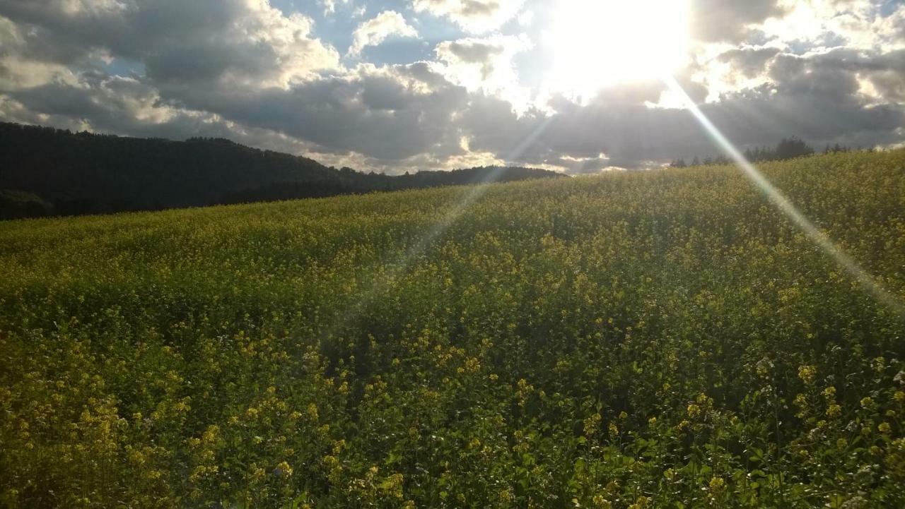 Blick In Die Suedeifel Biersdorf am See Exterior foto